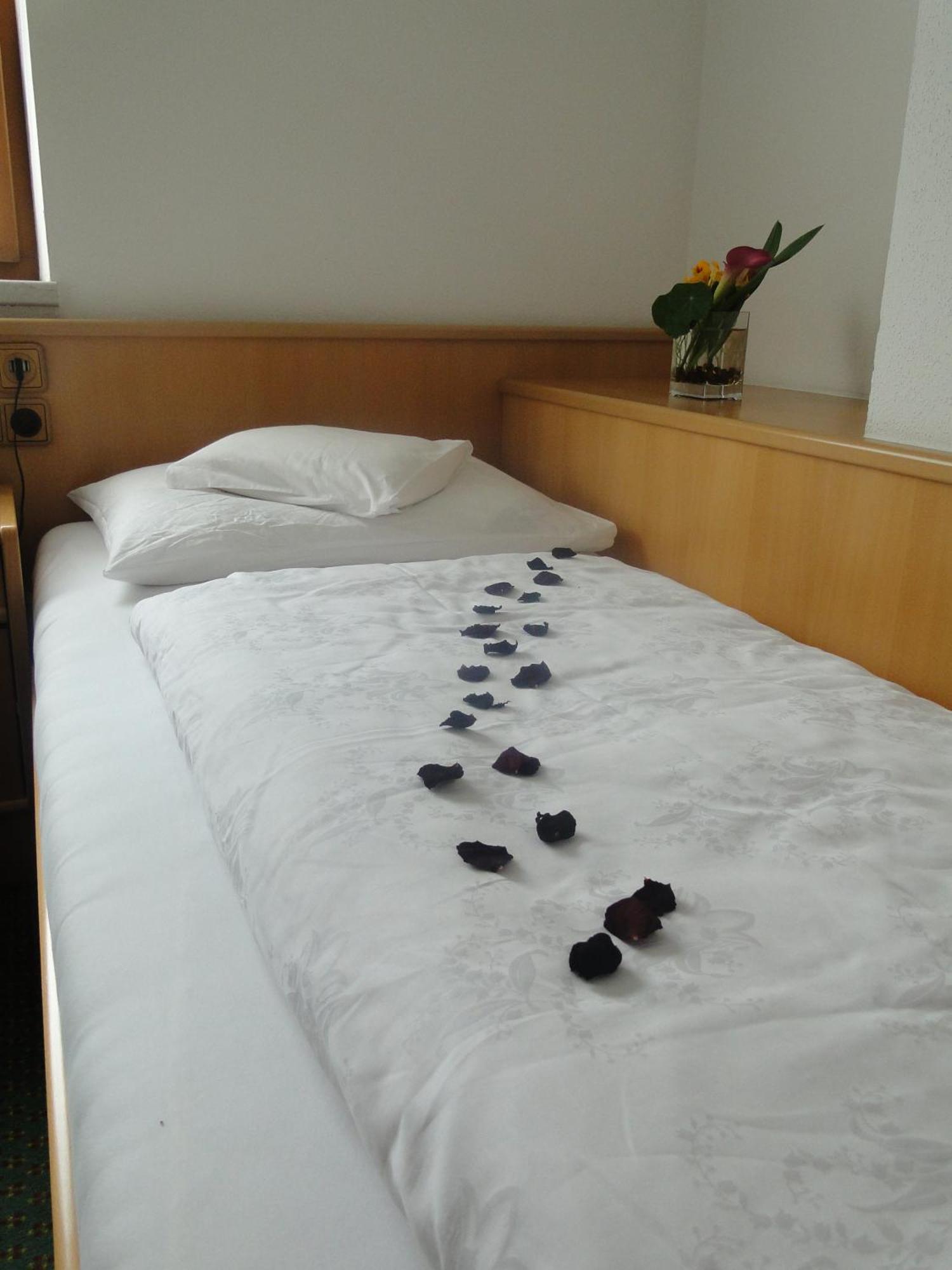 Hotel Theresia Ramsau im Zillertal Extérieur photo
